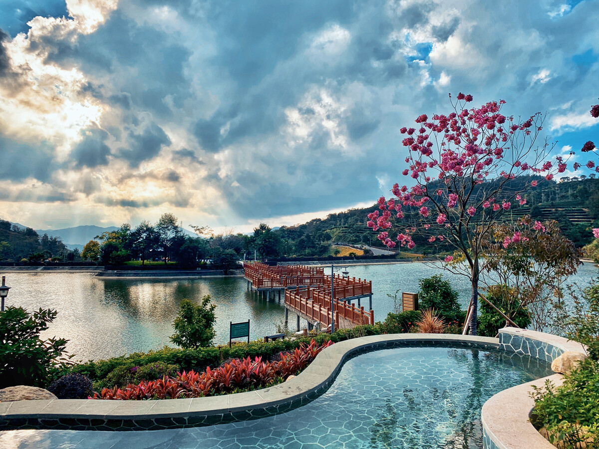 藏在大山深处的象窝山生态园 云浮新兴的象谷云溪秘境